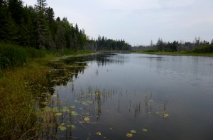 Pond on the Lind Easement