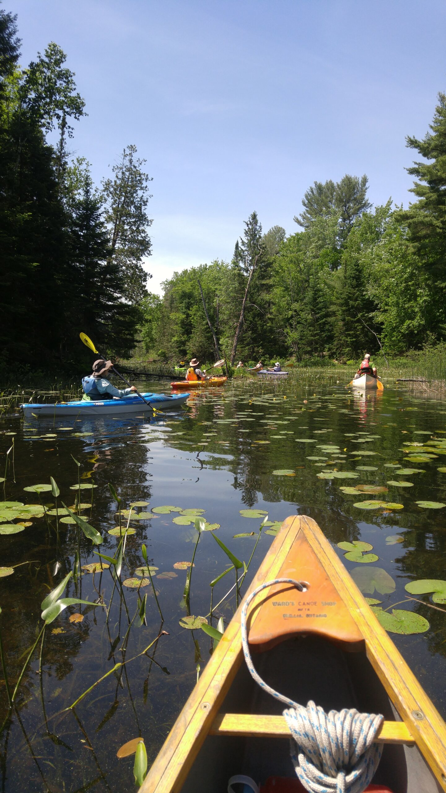 Alexander Hope Smith Nature Reserve Couchiching Conservancy