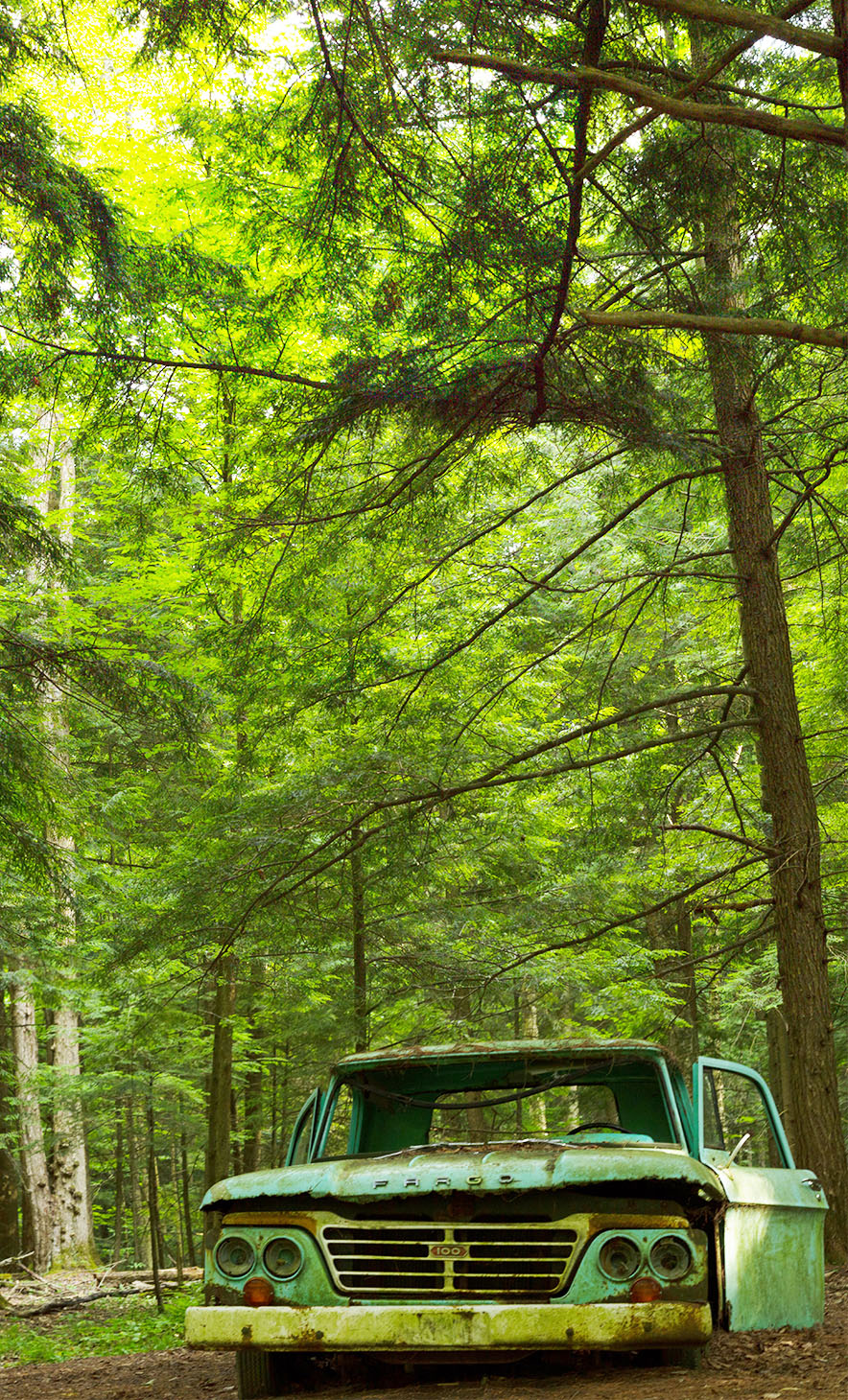 old truck in Grant's Woods