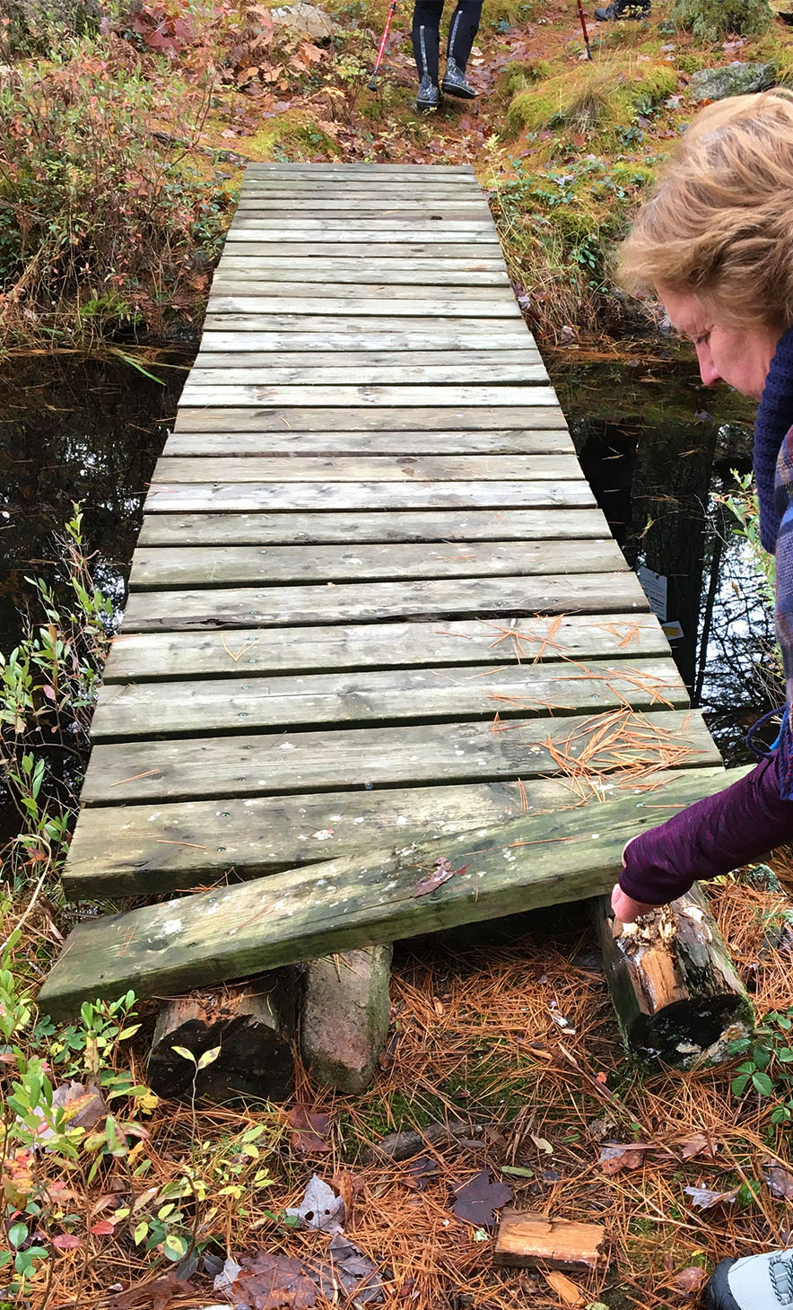 bridge needing repair at Heather's Pond