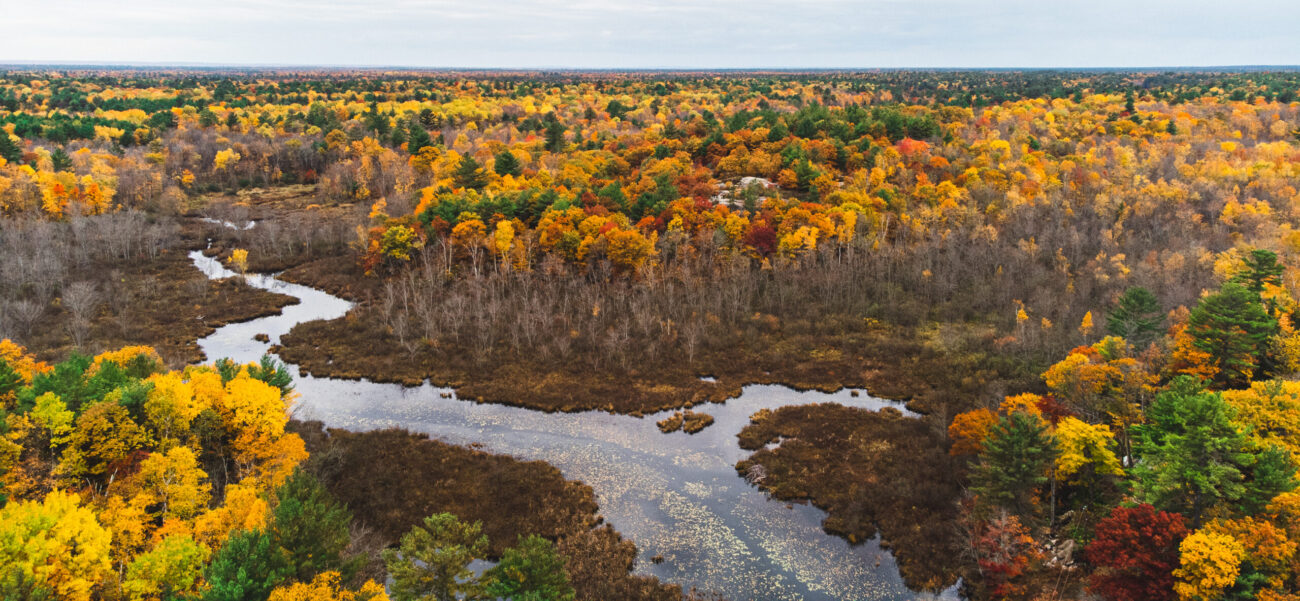 aerial photo of roehl wetland