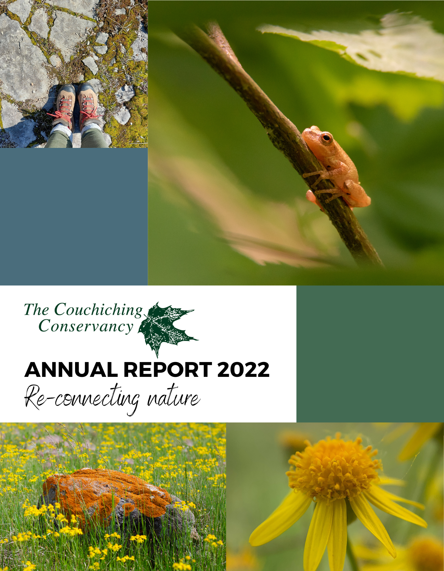 annual report cover