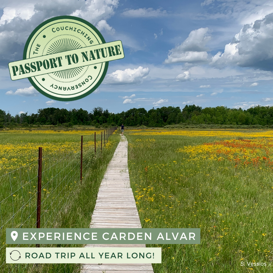 passport to nature, experience carden alvar, road trip all year long