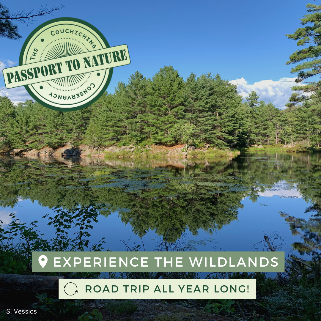 passport to nature, experience the wildlands, road trip all year long