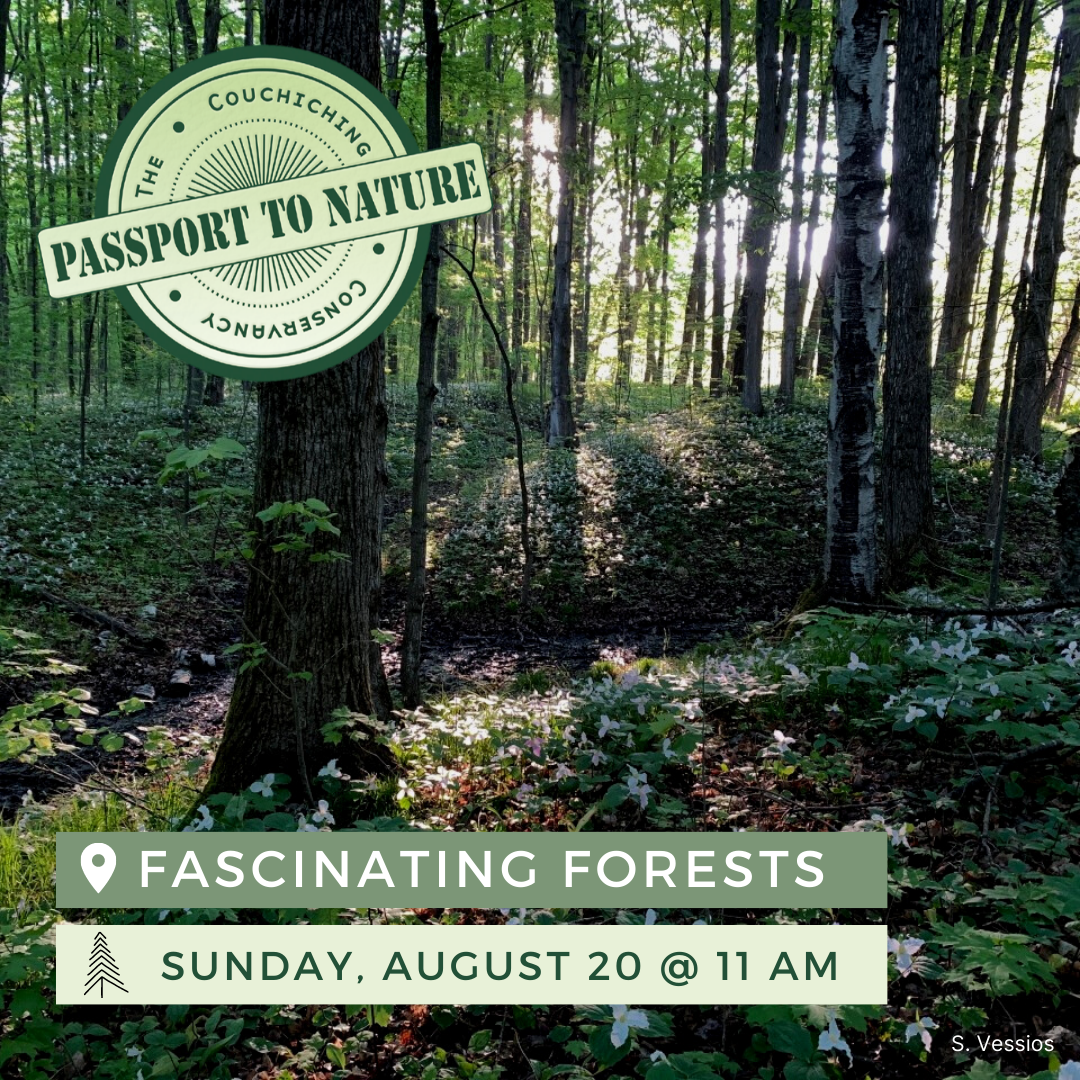 passport to nature, fascinating forests August 20th