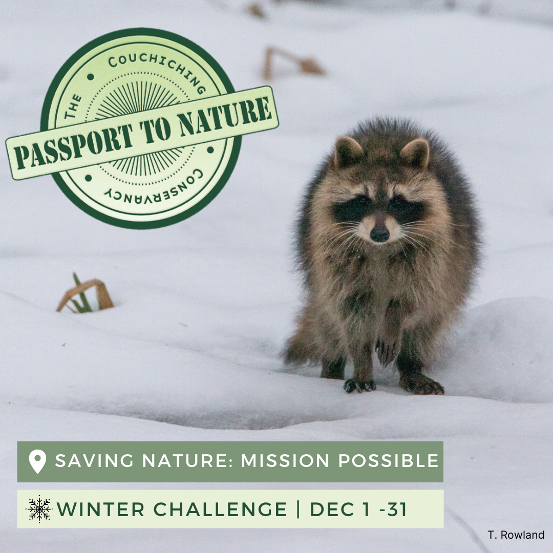 passport to nature, saving nature mission possible, winter challenge December 1st
