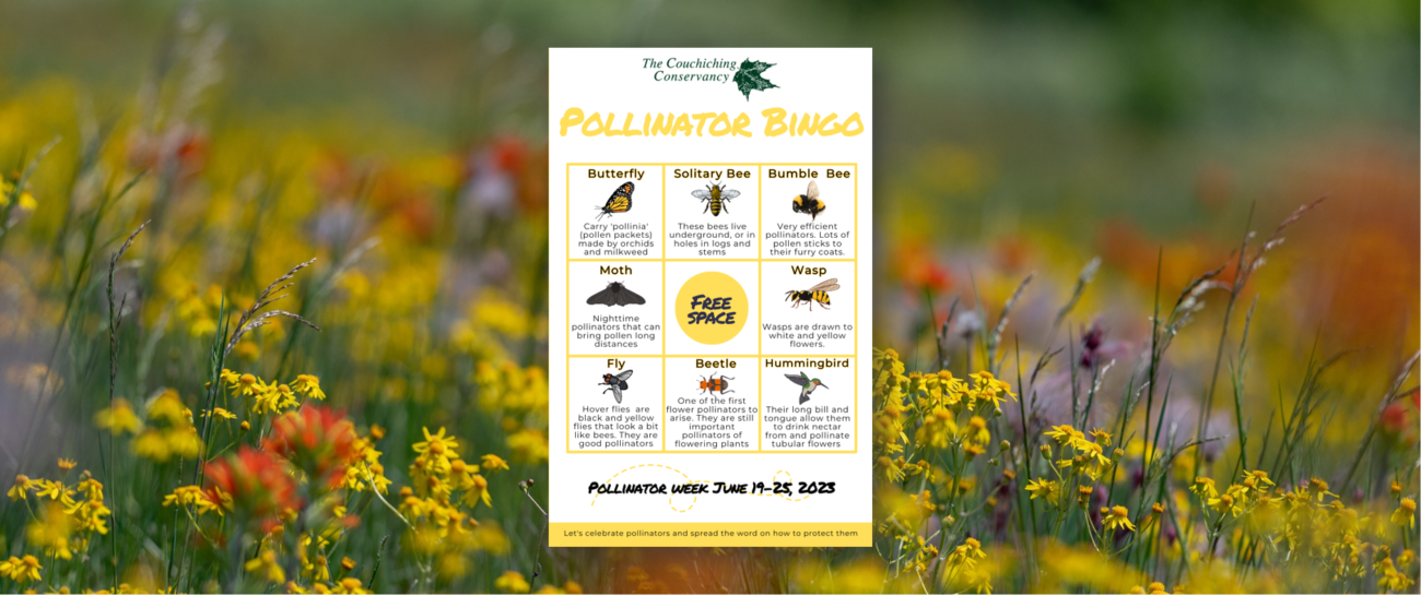 photo of pollinator bingo card