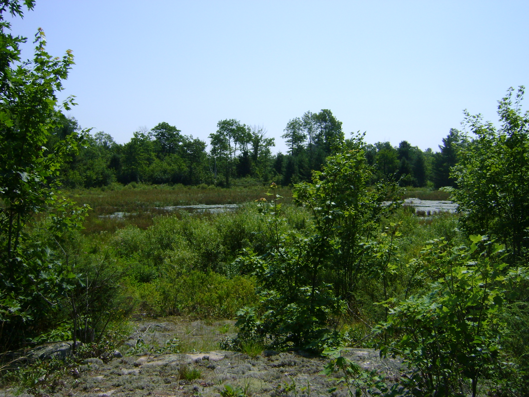 Photo: landscape