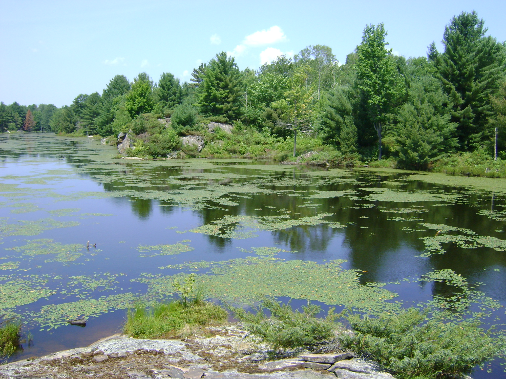 Photo: landscape