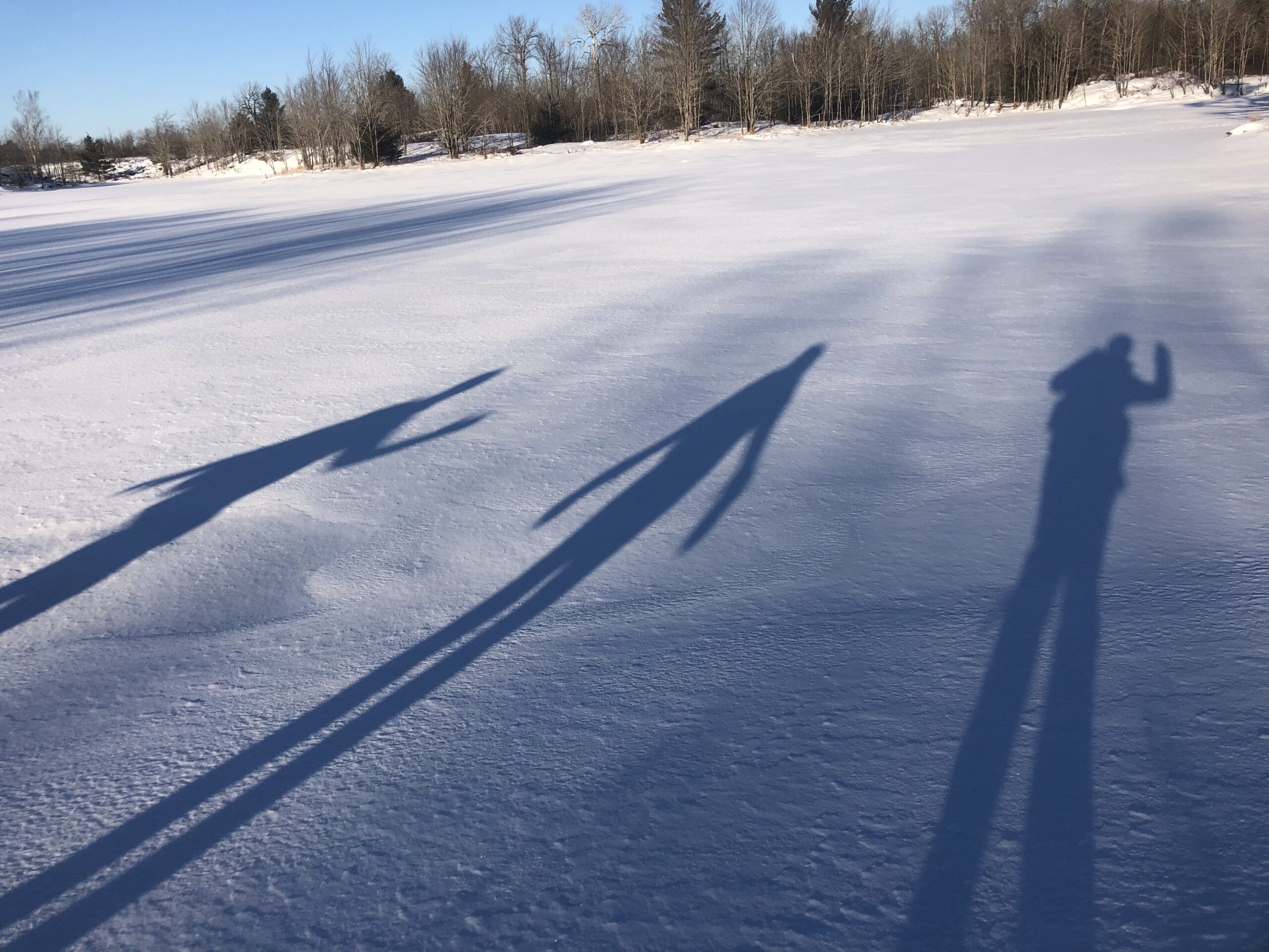 Winter shadows