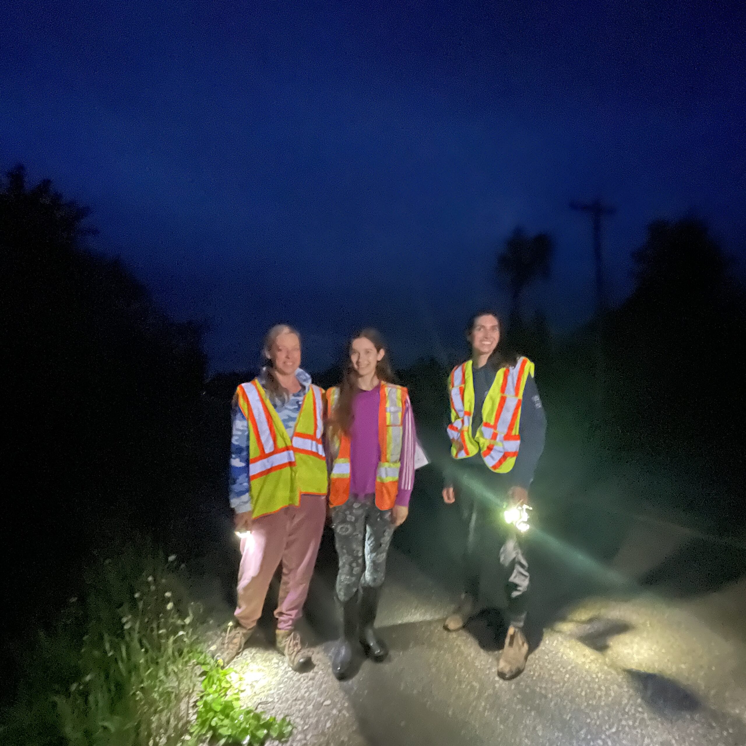 Frog monitoring volunteers