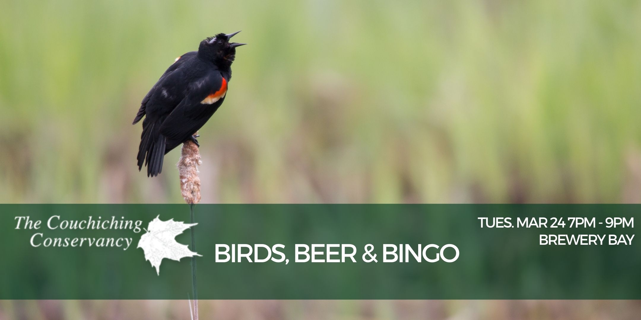 Advertisement for Birds, Beer & Bingo Mar. 24 7-9pm